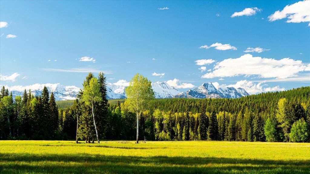 8500 North Fork Road, Polebridge, MT 59928 photo 6