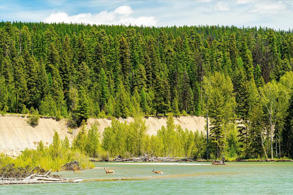 8500 North Fork Road, Polebridge, MT 59928 photo 70