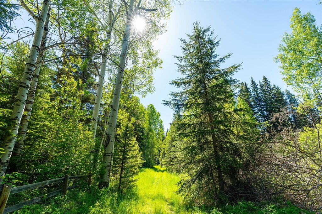 8500 North Fork Road, Polebridge, MT 59928 photo 74