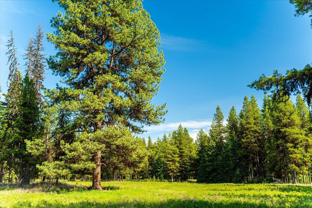 8500 North Fork Road, Polebridge, MT 59928 photo 77