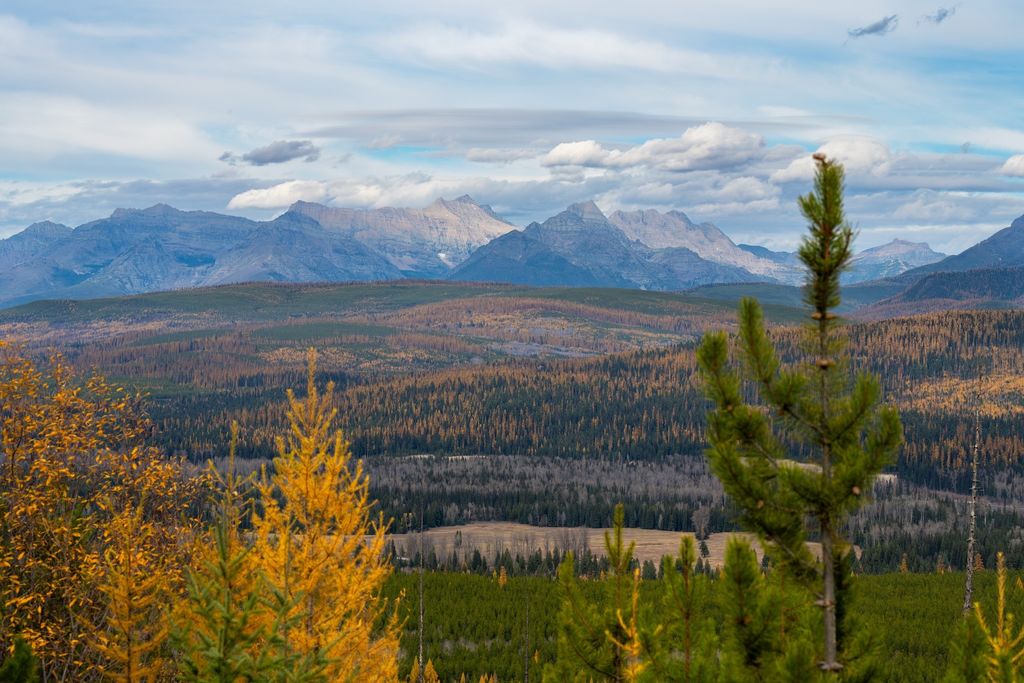 8500 North Fork Road, Polebridge, MT 59928 photo 91