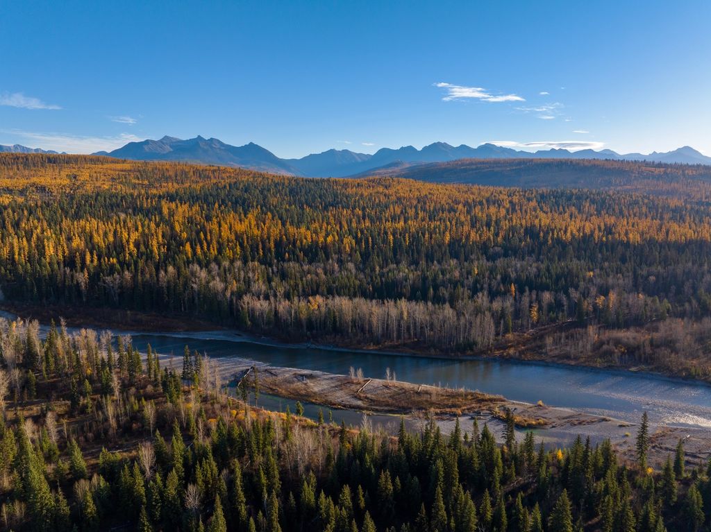 8500 North Fork Road, Polebridge, MT 59928 photo 93