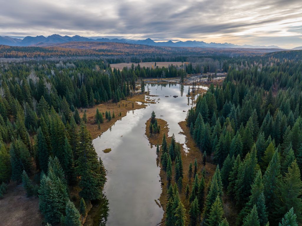 8500 North Fork Road, Polebridge, MT 59928 photo 96