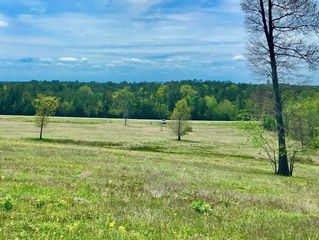 4590 W W Us Highway 287, Groveton, TX 75845