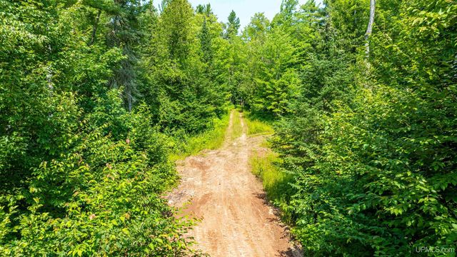 27221 Bootjack Road, Lake Linden, MI 49945