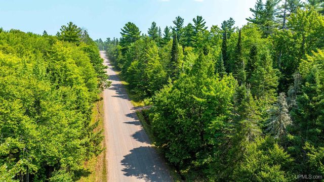 27221 Bootjack Road, Lake Linden, MI 49945