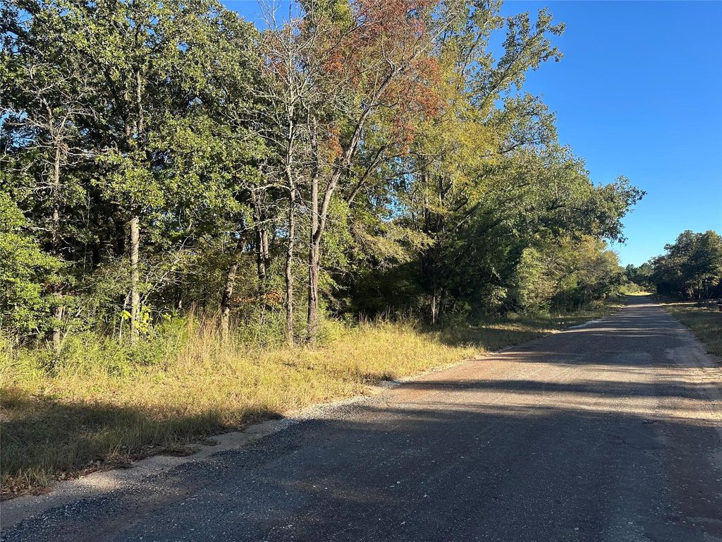 TR 4 Cr219, Buffalo, TX 75831