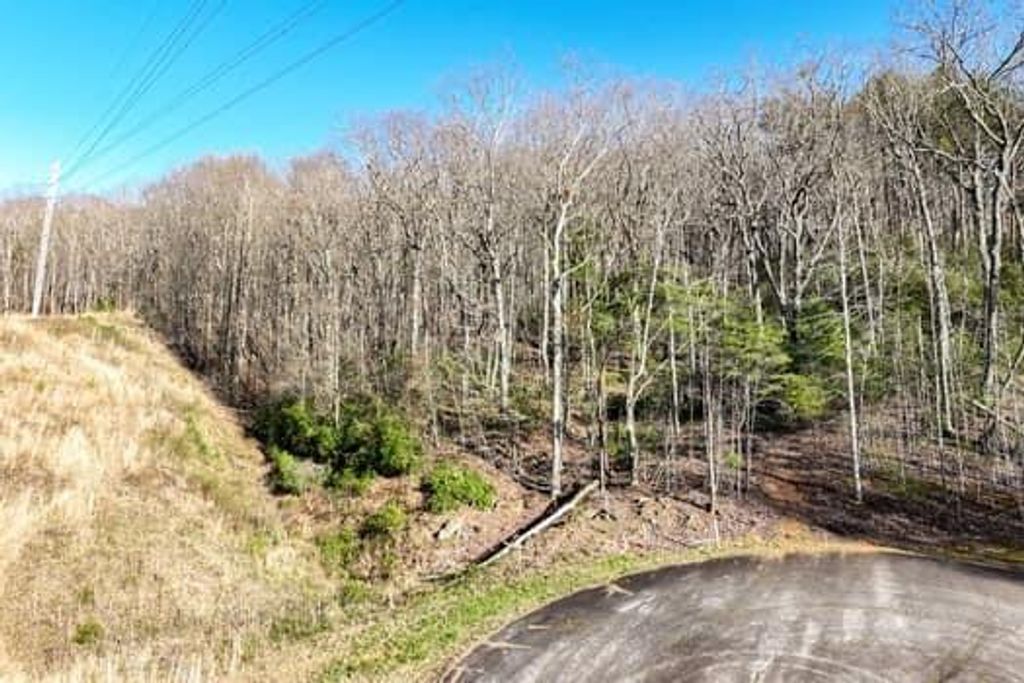 Image 11 of property listing at 7.39AC Turner Ridge Drive, Cleveland, GA 30528