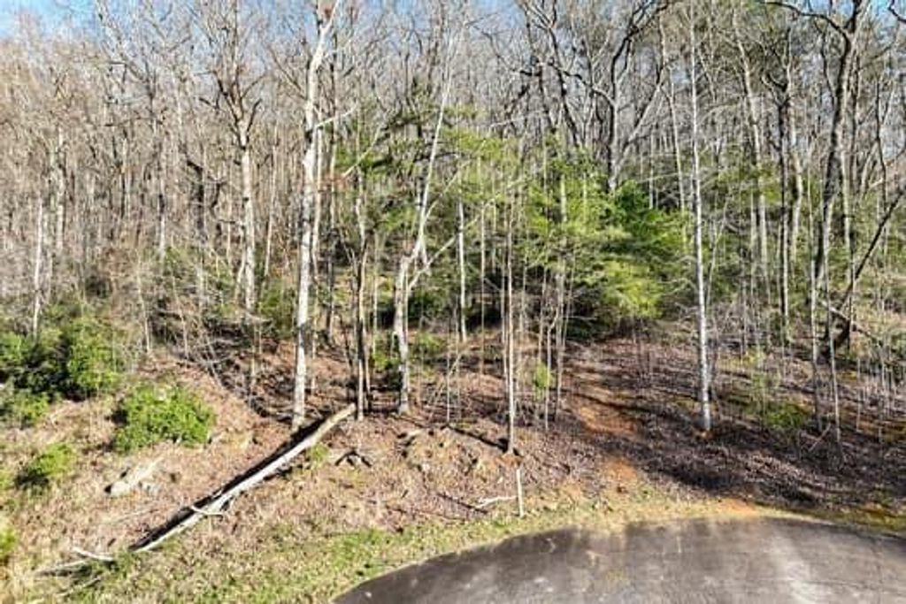 Image 15 of property listing at 7.39AC Turner Ridge Drive, Cleveland, GA 30528