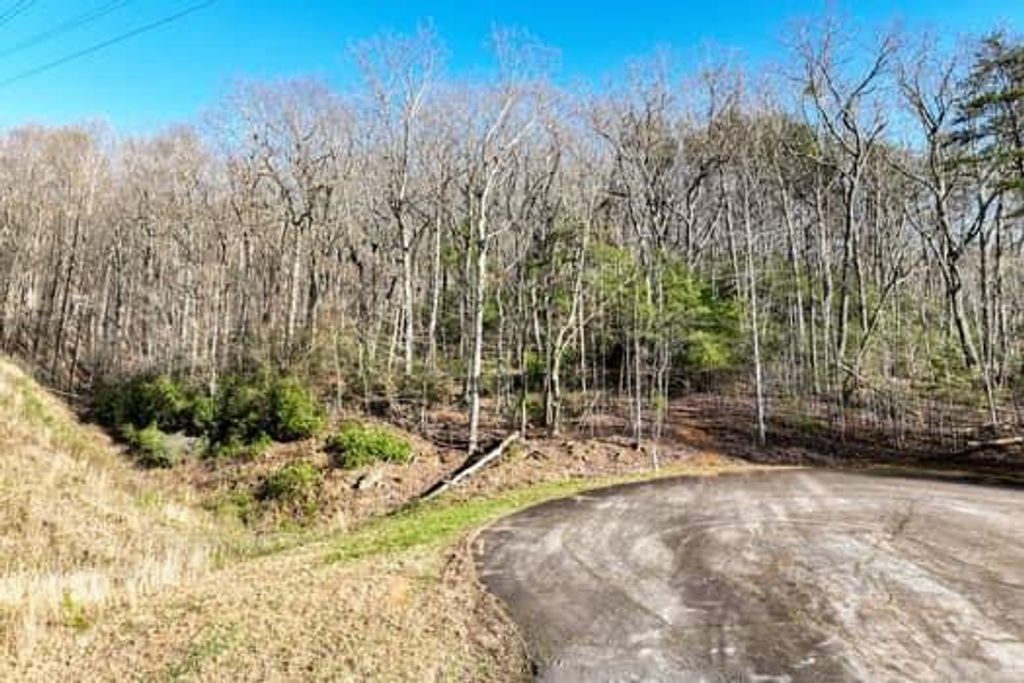 Image 19 of property listing at 7.39AC Turner Ridge Drive, Cleveland, GA 30528