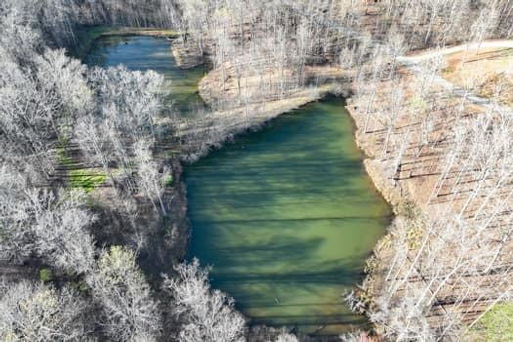 Image 5 of property listing at 7.39AC Turner Ridge Drive, Cleveland, GA 30528