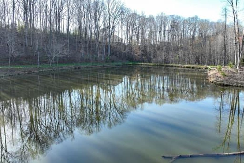 Image 8 of property listing at 7.39AC Turner Ridge Drive, Cleveland, GA 30528