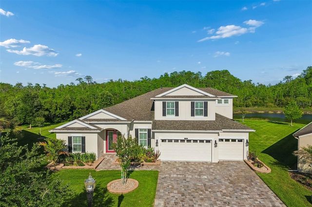 8768 BIRCHLEAF COURT, Land O Lakes, FL 34637