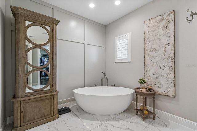 8768 BIRCHLEAF COURT, Land O Lakes, FL 34637