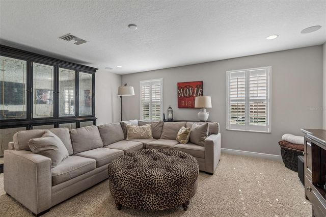 8768 BIRCHLEAF COURT, Land O Lakes, FL 34637