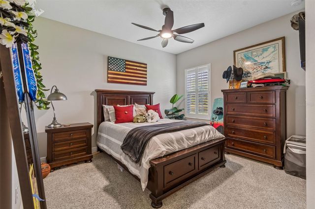 8768 BIRCHLEAF COURT, Land O Lakes, FL 34637