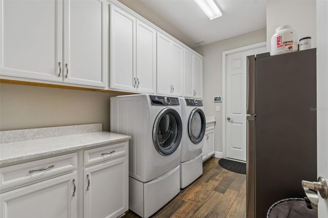 8768 BIRCHLEAF COURT, Land O Lakes, FL 34637