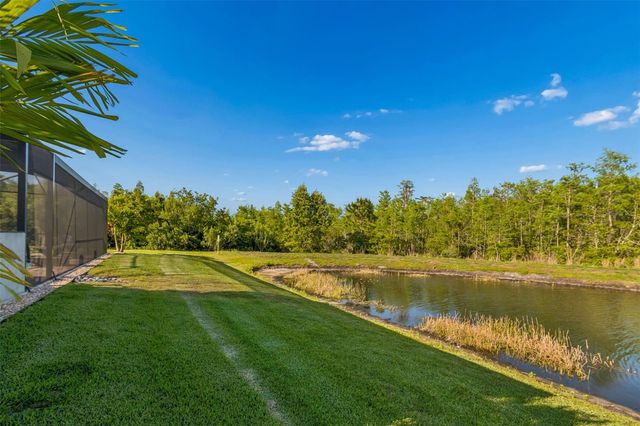 8768 BIRCHLEAF COURT, Land O Lakes, FL 34637