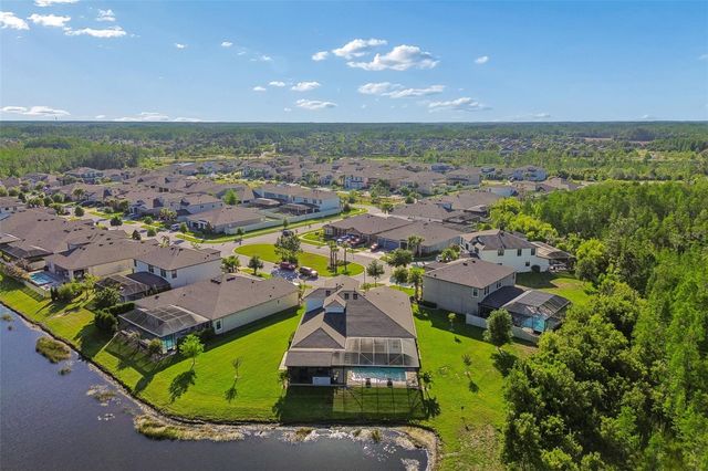 8768 BIRCHLEAF COURT, Land O Lakes, FL 34637