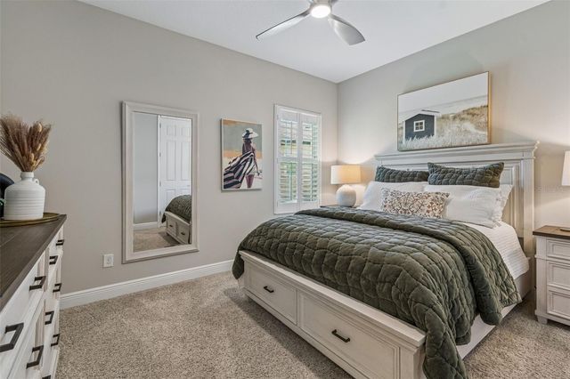 8768 BIRCHLEAF COURT, Land O Lakes, FL 34637