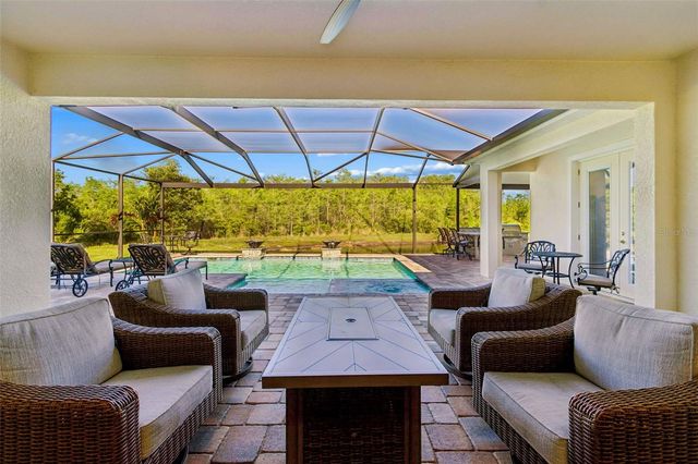 8768 BIRCHLEAF COURT, Land O Lakes, FL 34637