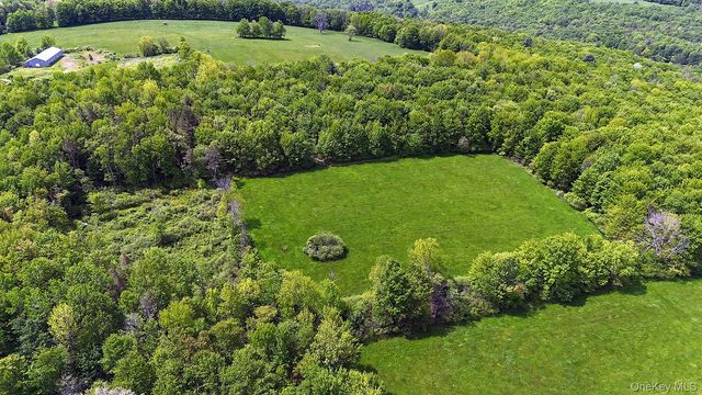 Menges Road, Youngsville, NY 12791