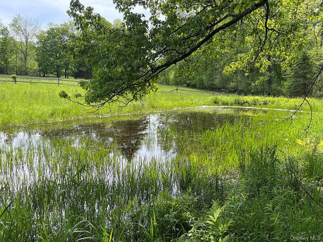 Menges Road, Youngsville, NY 12791