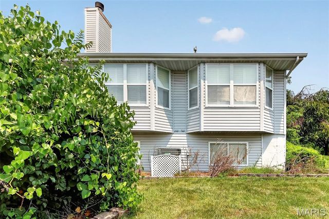 36 Lienemann Court 51, St Peters, MO 63303
