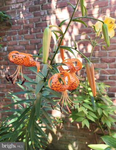 14 AMBLER LN, Falling Waters, WV 25419