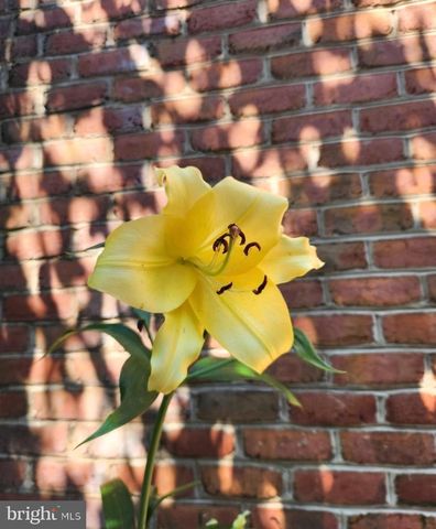 14 AMBLER LN, Falling Waters, WV 25419