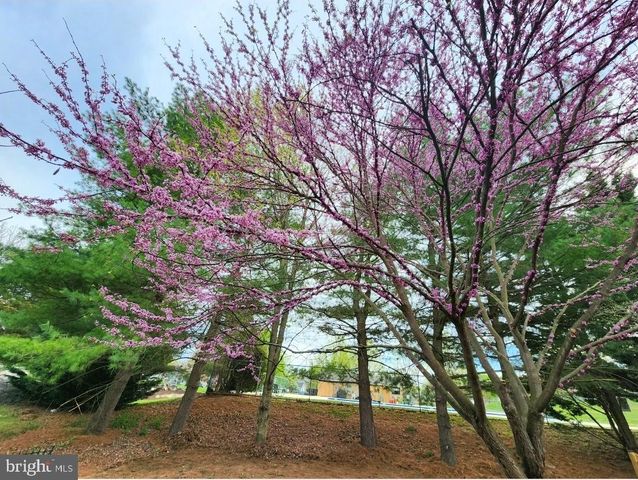 14 AMBLER LN, Falling Waters, WV 25419