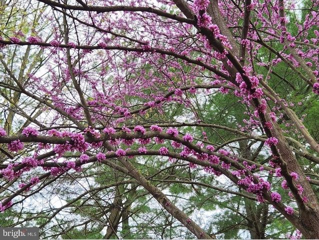 14 AMBLER LN, Falling Waters, WV 25419