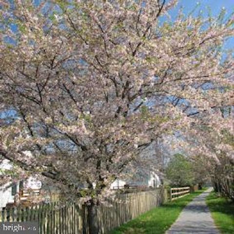 14 AMBLER LN, Falling Waters, WV 25419