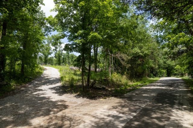 0 Goose Branch Rd, Lynchburg, TN 37352