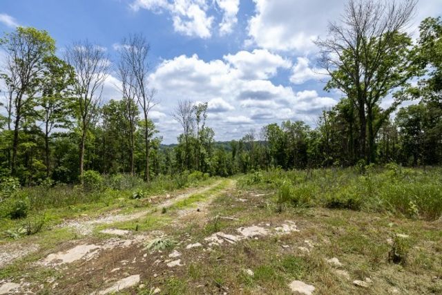 0 Goose Branch Rd, Lynchburg, TN 37352