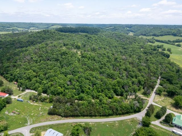 0 Goose Branch Rd, Lynchburg, TN 37352