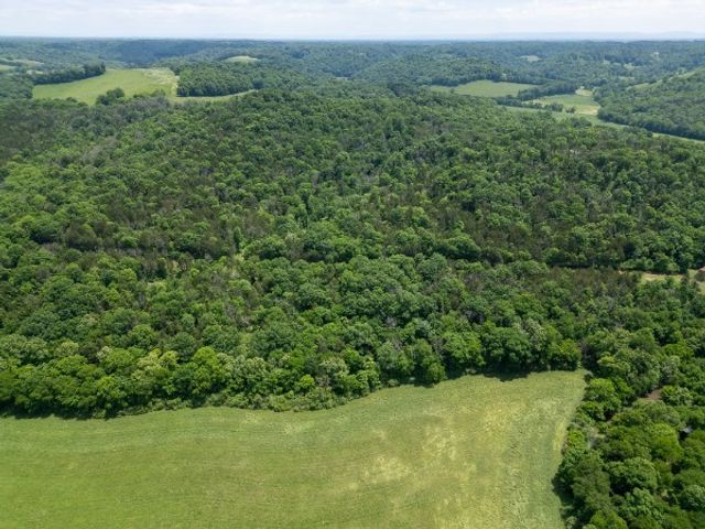 0 Goose Branch Rd, Lynchburg, TN 37352