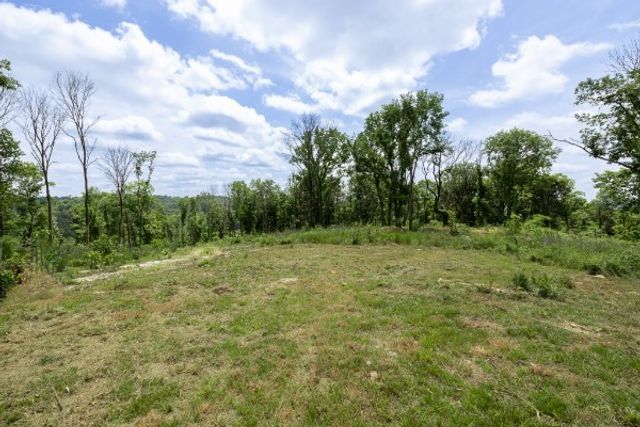 0 Goose Branch Rd, Lynchburg, TN 37352