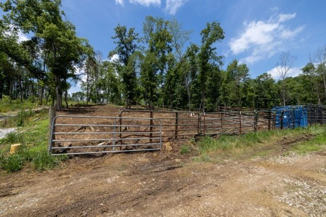 0 Goose Branch Rd, Lynchburg, TN 37352