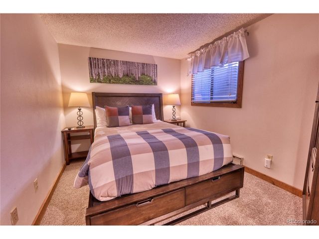 187 N Fuller Placer Rd D, Breckenridge, CO 80424