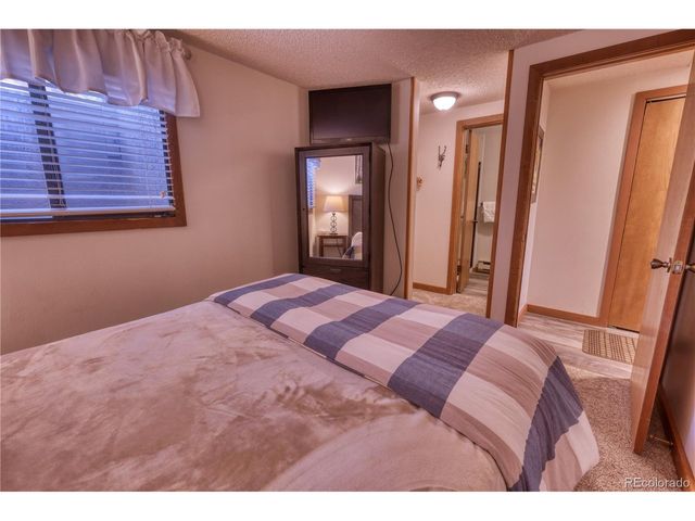 187 N Fuller Placer Rd D, Breckenridge, CO 80424