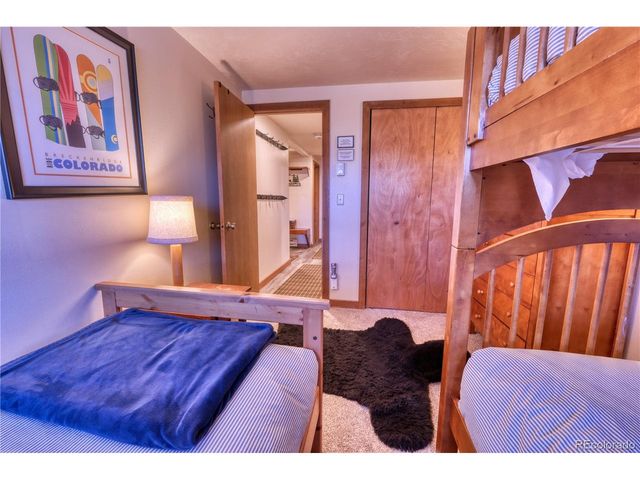 187 N Fuller Placer Rd D, Breckenridge, CO 80424