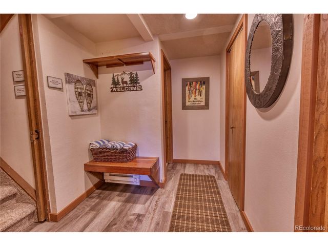 187 N Fuller Placer Rd D, Breckenridge, CO 80424