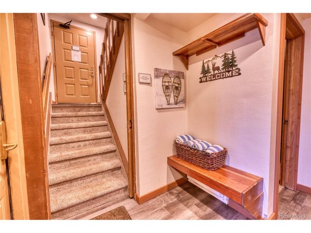 187 N Fuller Placer Rd D, Breckenridge, CO 80424