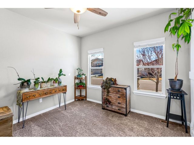 1828 Paley Dr, Windsor, CO 80550