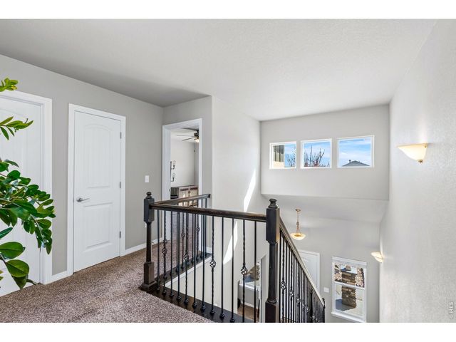 1828 Paley Dr, Windsor, CO 80550