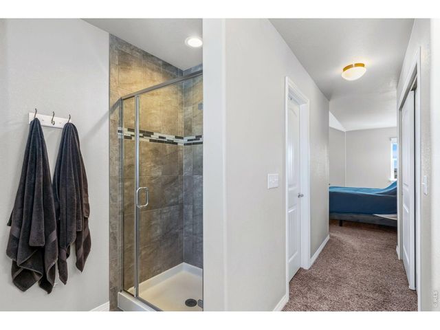 1828 Paley Dr, Windsor, CO 80550