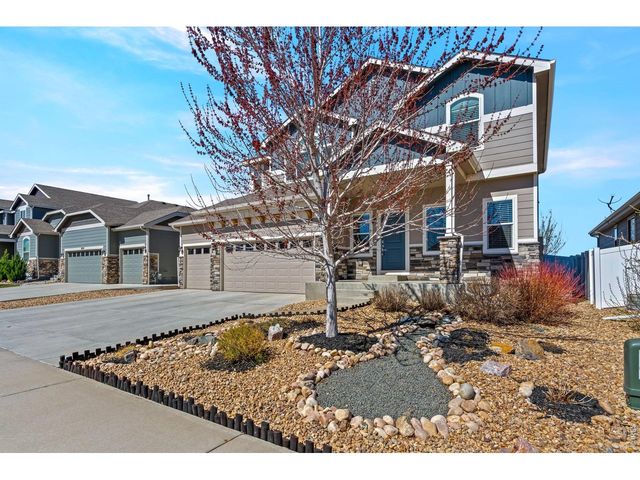1828 Paley Dr, Windsor, CO 80550