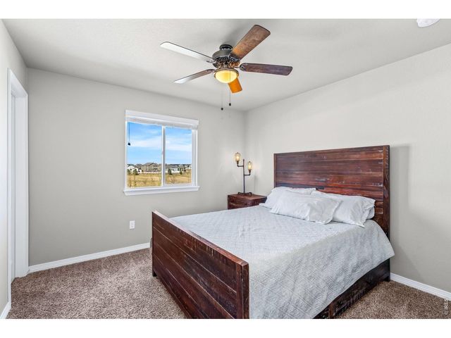 1828 Paley Dr, Windsor, CO 80550