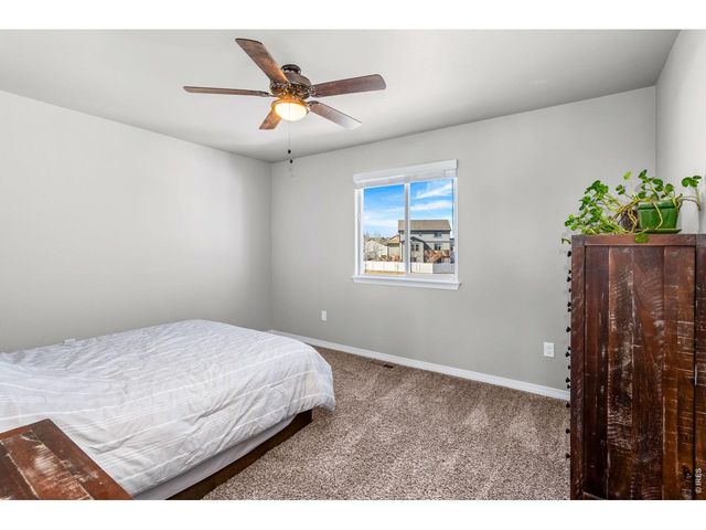 1828 Paley Dr, Windsor, CO 80550